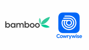 bamboo